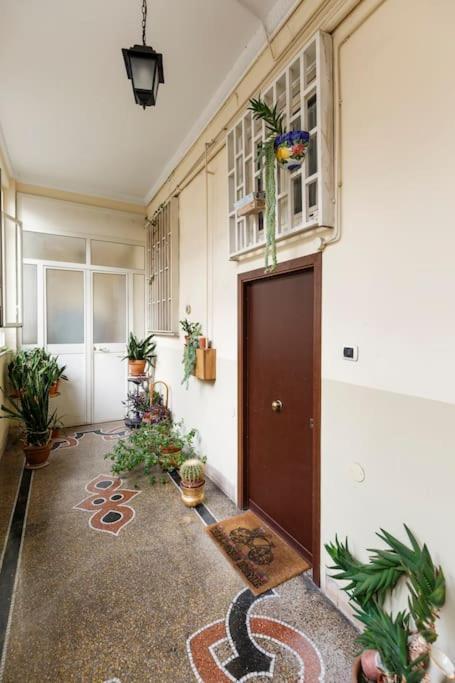 Nautilus Appartement